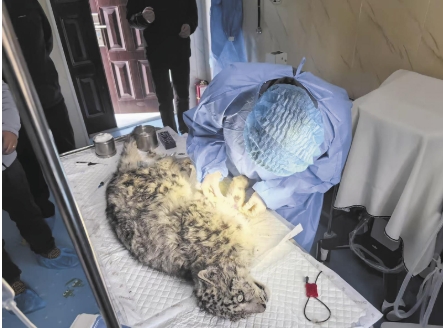 微信截圖_20250331064912