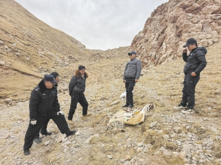 微信截圖_20250331065010