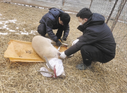 微信截圖_20250331065059