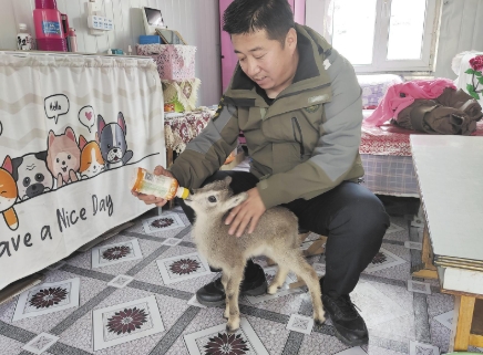 微信截圖_20250331065155