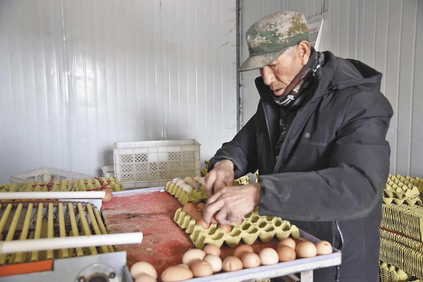 【感黨恩 聽黨話 跟黨走·和諧青海行】“小雞蛋”里的鄉村振興“大智慧”
