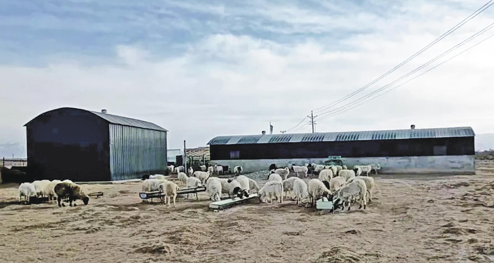 【鄉村振興在青海】好日子,比酥油茶還香