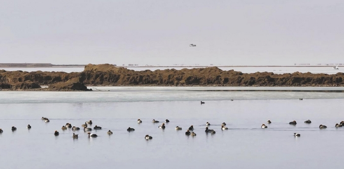 微信截圖_20250407061200