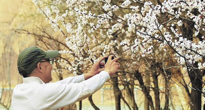 春日繁花批量“上線” “賞花經濟”火爆出圈