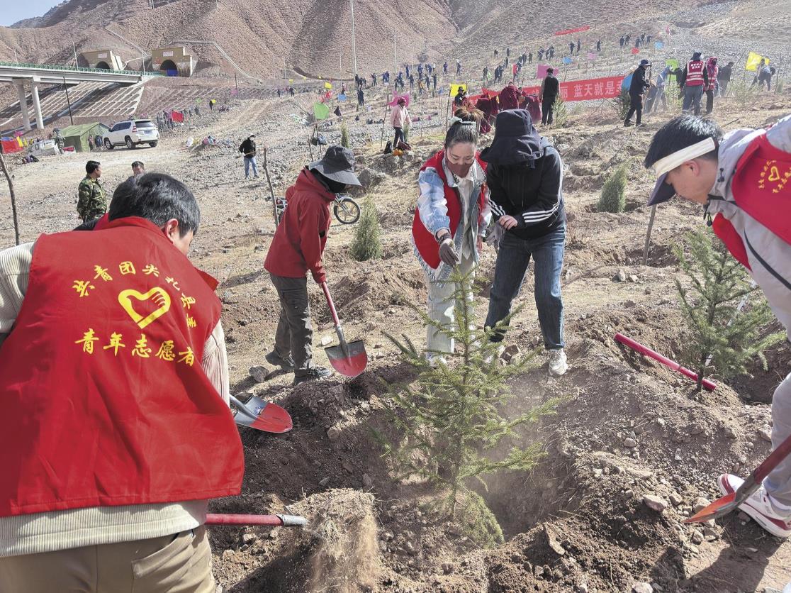 【為建設美麗青海增綠添彩】尖扎:全民植樹正當時