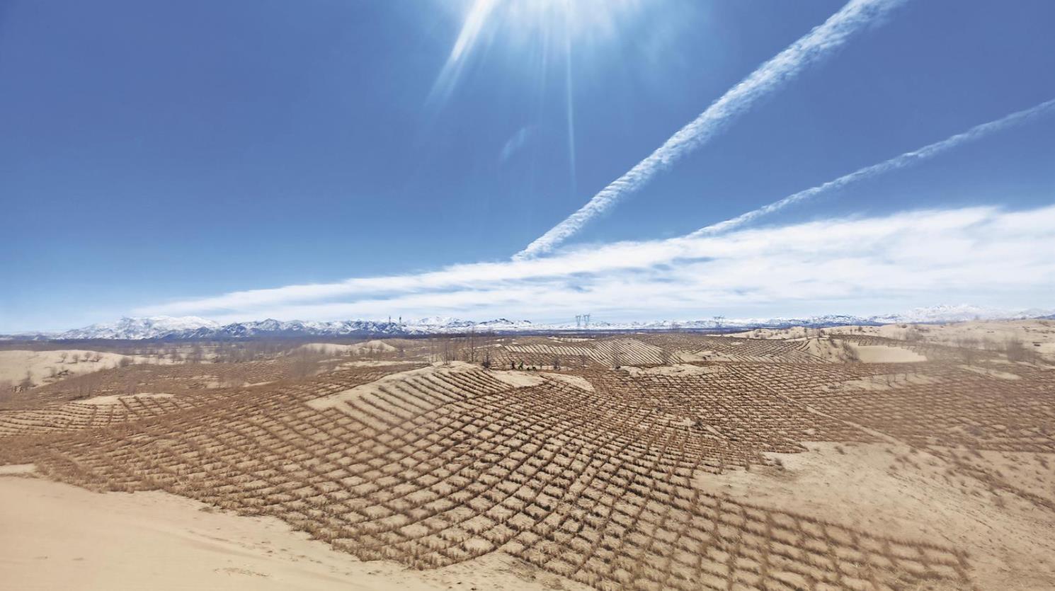 【為建設美麗青海增綠添彩】都蘭:防沙治沙 向綠而行