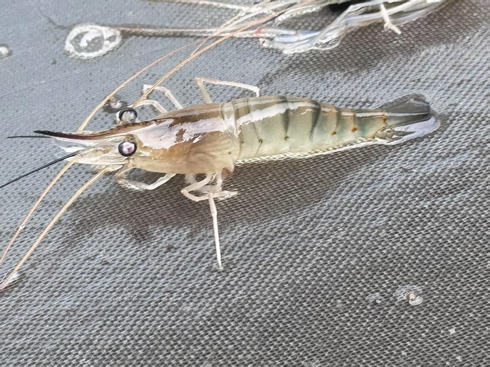 QQ圖片20250417061240