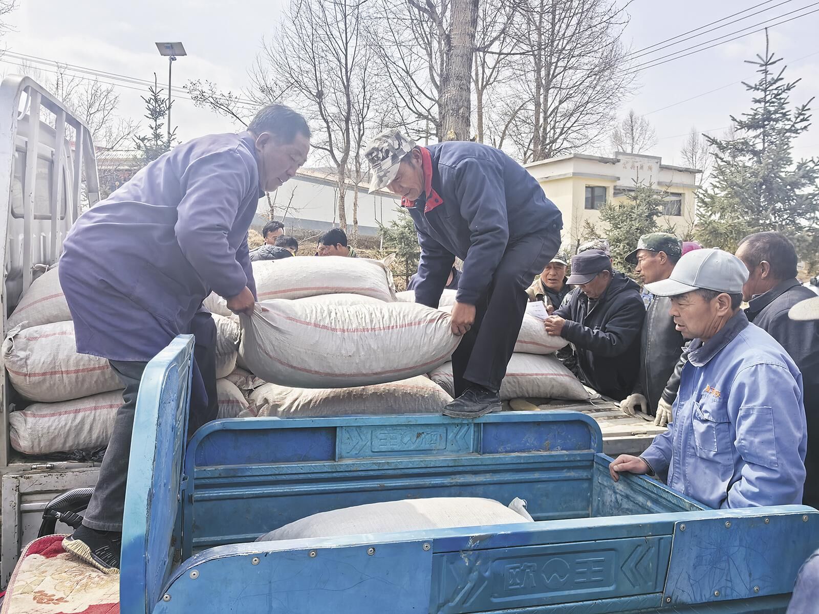 【一線故事】科技讓種子長成“金豆子”