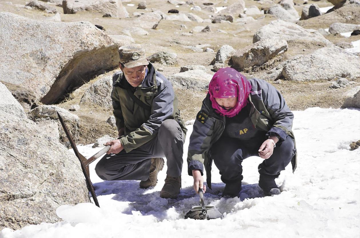 【最美高原奮斗者·最美生態管護員】把半生站成“路標”的身影……——記祁連山國家公園德令哈雪山牧場管護站管護員尚依