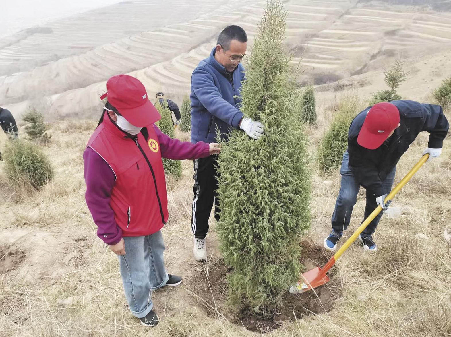 【為建設美麗青海增綠添彩】互助:為“生態屏障”添“綠裳”