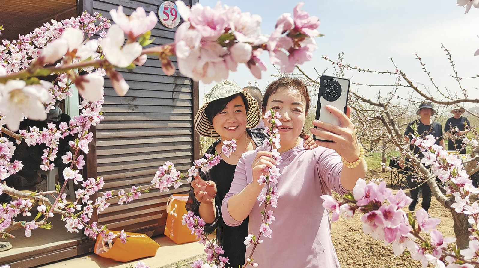 青海民和:桃花旅游活動啟動