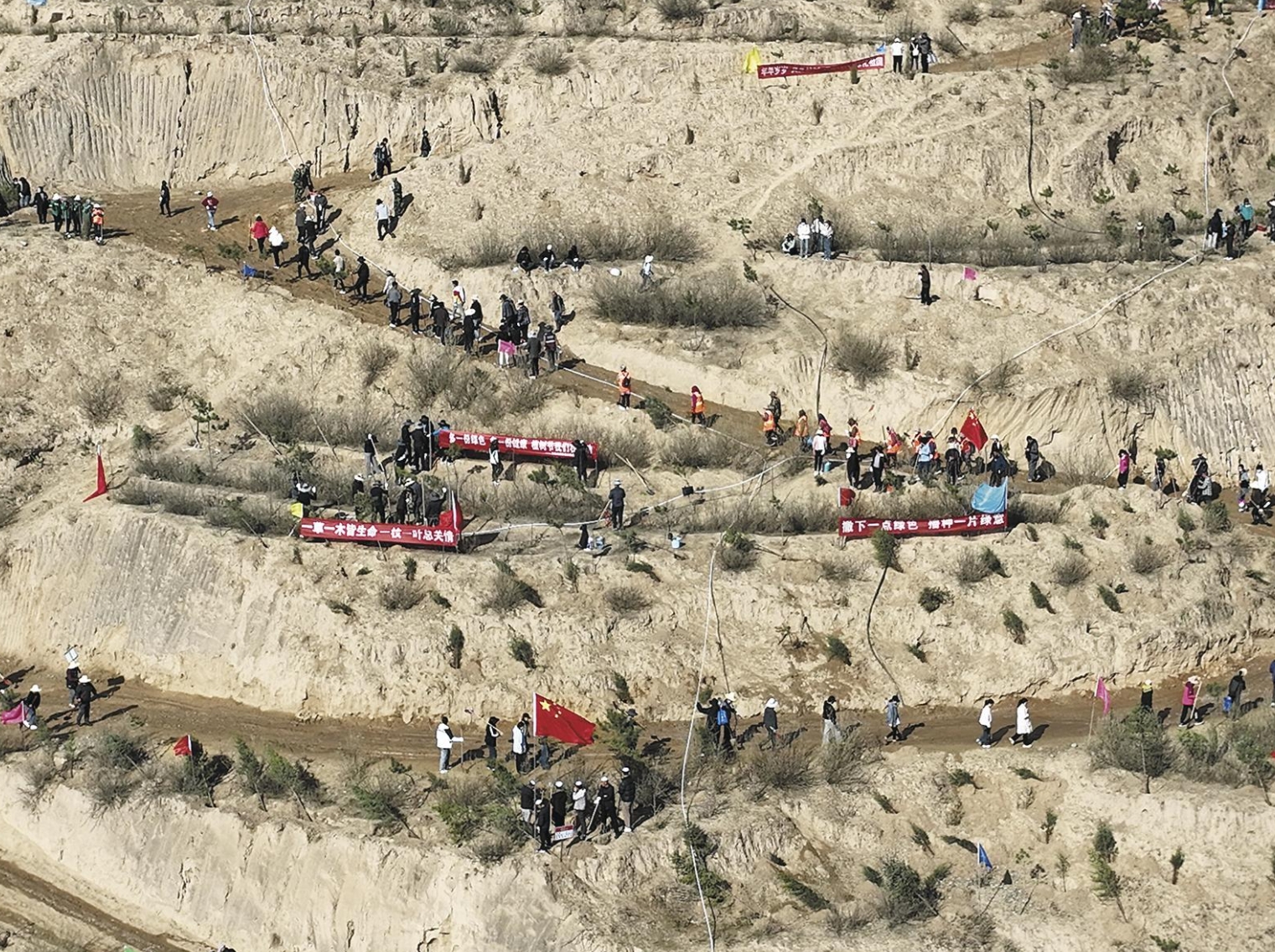 【為建設美麗青海增綠添彩】春日隆務 千人揮鍬播新綠