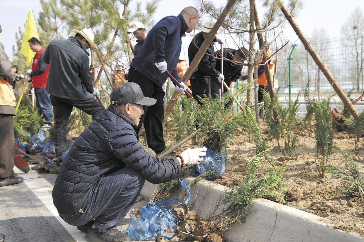 【為建設美麗青海增綠添彩】青海大通:“三北”添新綠 不負好春光