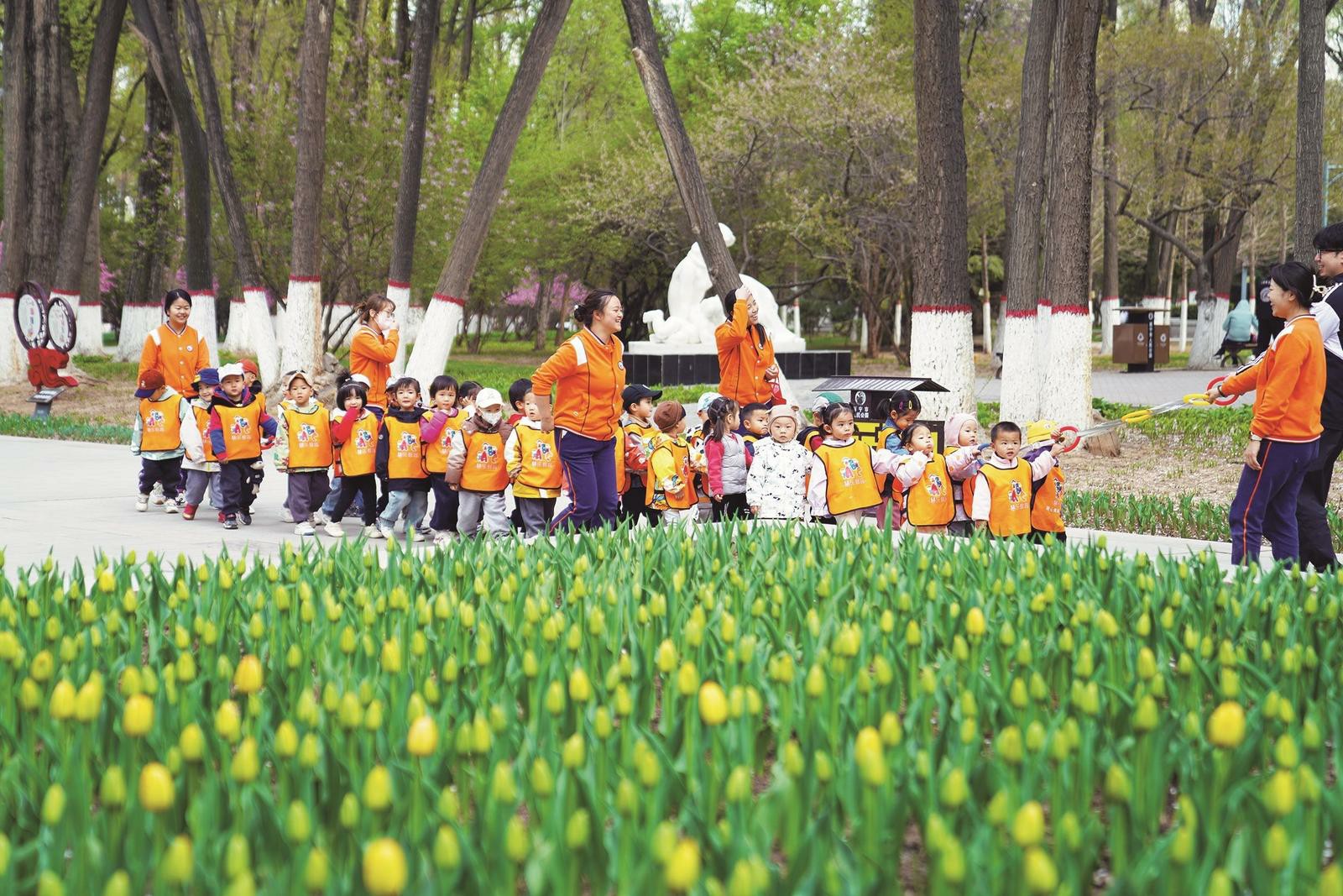 高原古城 春色滿園