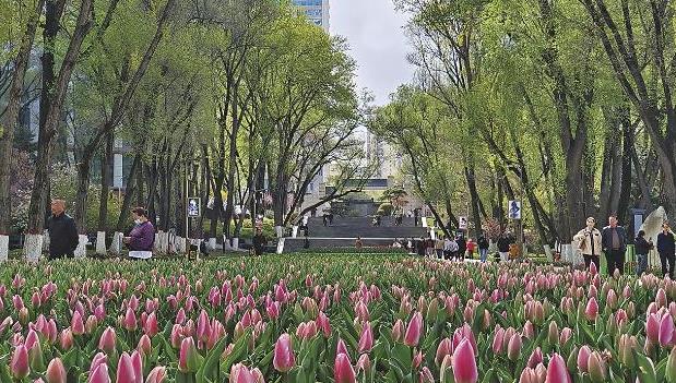 【農(nóng)經(jīng)觀察】好一幅高原花事圖鑒