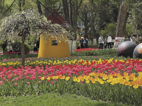 【文化中國行】花“漾”青海,美景觸手可及