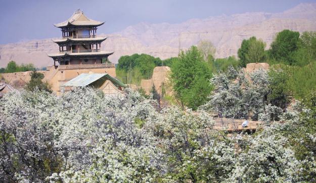 繁花“漾”青海 歡歌“醉”高原——“五一”假日里最歡樂的時光