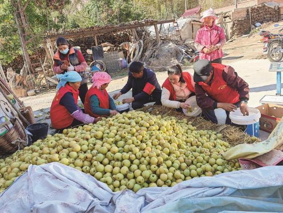 以花為媒 貴德梨搭上產業化快車