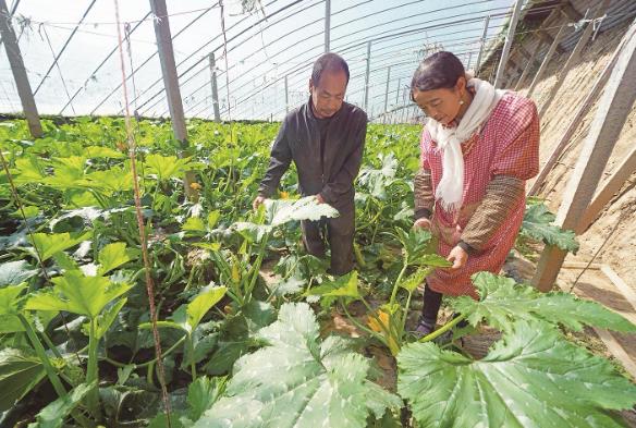 Զ ɠȡ䡱ຣԡ߹⡱ϵý֮ ຣp䡱aIlչʮ