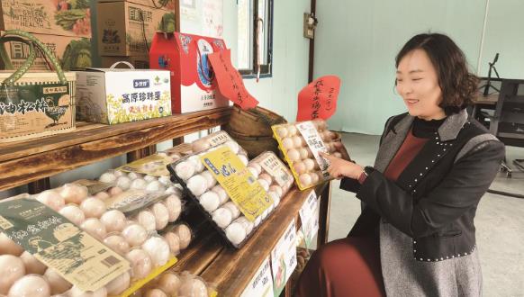 【青海故事·探班三百六十行】從都市白領到鄉野“雞司令” 湟中姑娘返鄉養雞踏上致富路