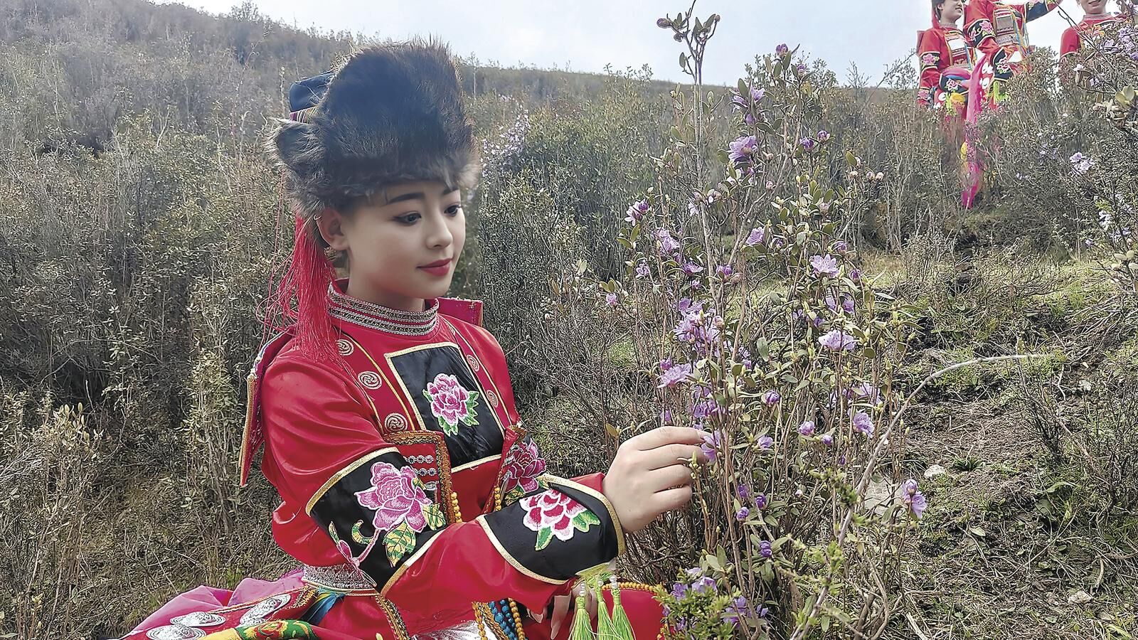 【2025青海文化旅游節(jié)特刊】杜鵑花開映山鄉(xiāng)