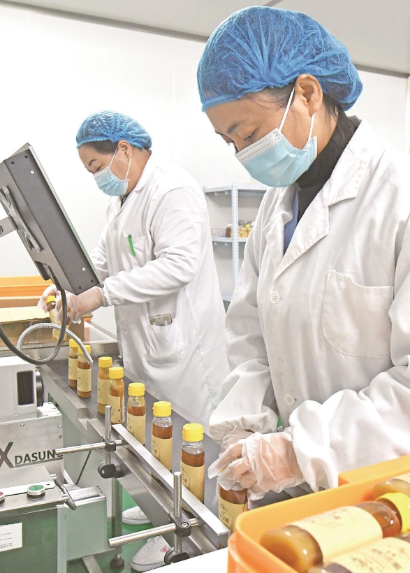 微信圖片_20250526065206