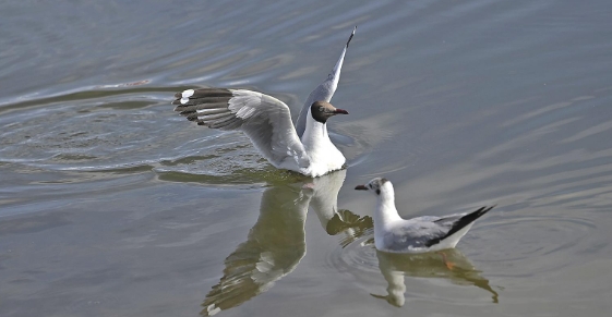 微信截圖_20250603064214