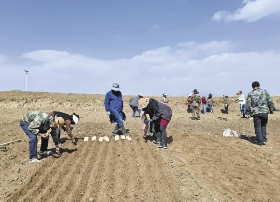 【黨旗領航】構建多元人才生態鏈 打造創新發展新動能——大通以真招、妙招、實招涵養人才發展新生態