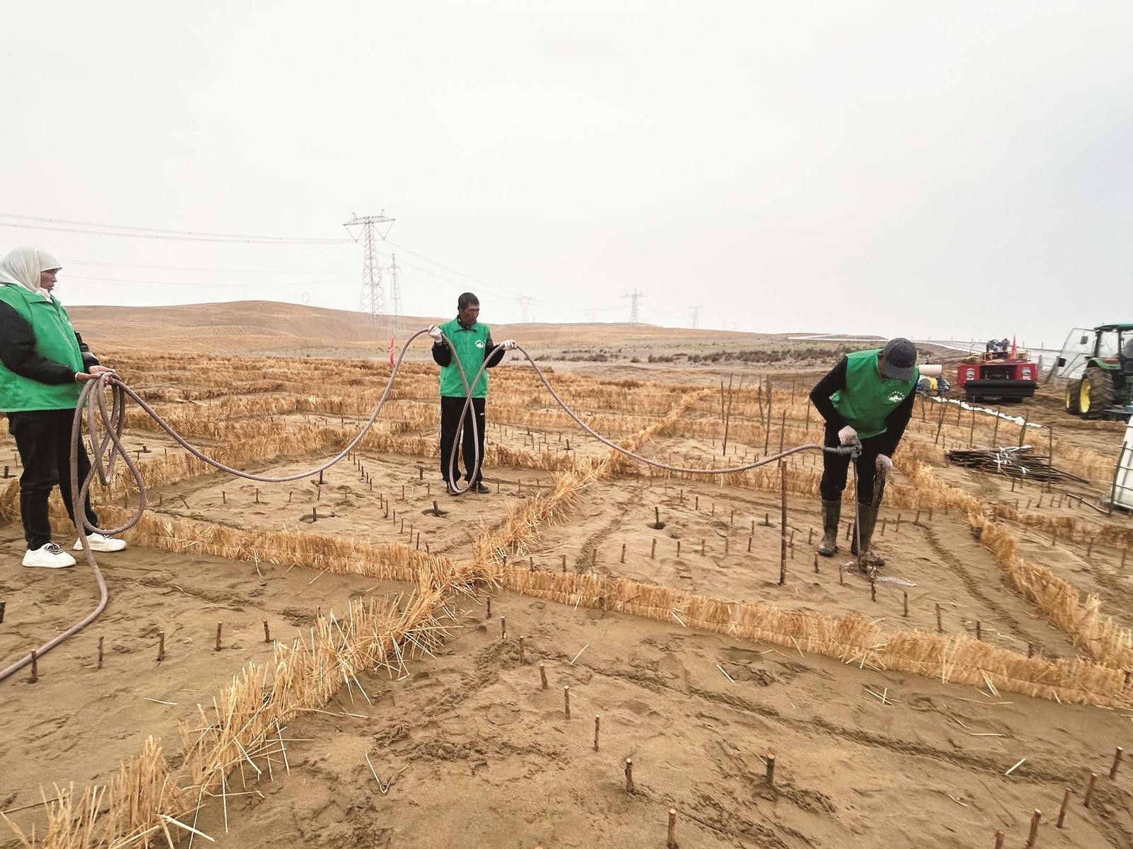 我省舉行“三北”工程六期觀摩推進會探索“光伏+治沙+產業”發展新模式