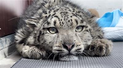 【堅定信心 實干爭先 深入學習貫徹習近平總書記考察青海重要講話精神】西寧傾心傾力書寫“綠美答卷”