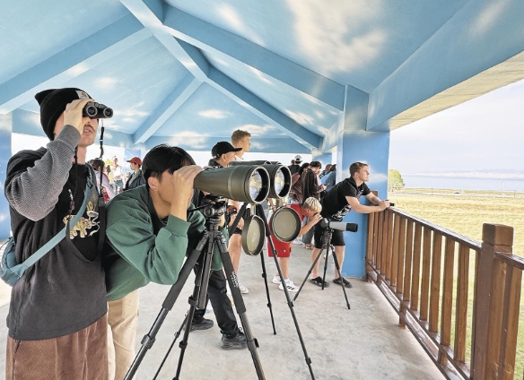 ΢Ž؈D_20250616063410