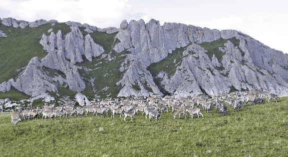 ΢Ž؈D_20250616064914