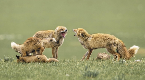 ΢Ž؈D_20250616065039