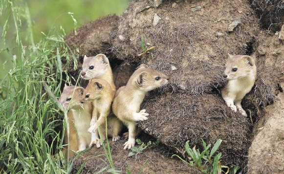 ΢Ž؈D_20250616065107