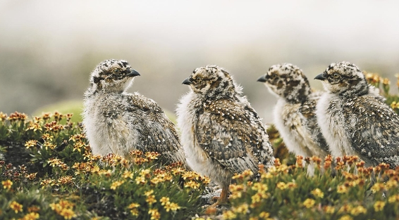 ΢Ž؈D_20250616065134