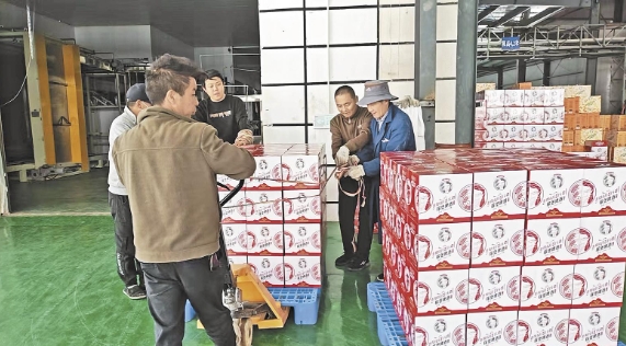 【鄉村振興在青海】黑青稞釀出鄉村振興“好滋味”