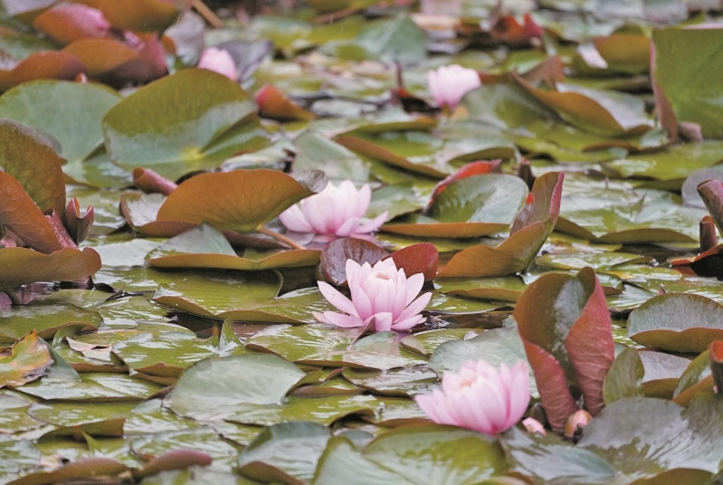 ΢Ž؈D_20250623071451