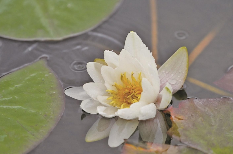 ΢Ž؈D_20250623071459