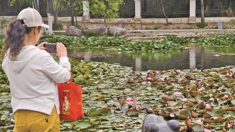 ΢Ž؈D_20250623071507