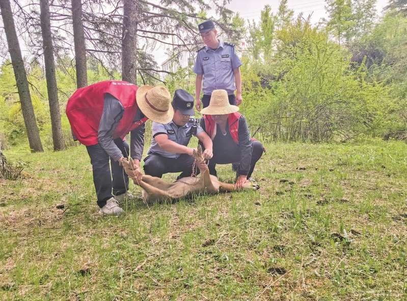 微信截圖_20250623071805