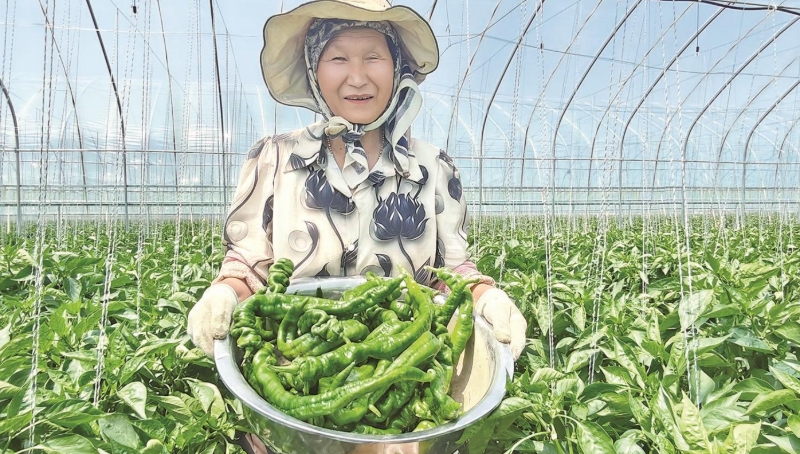 微信截圖_20250623072014