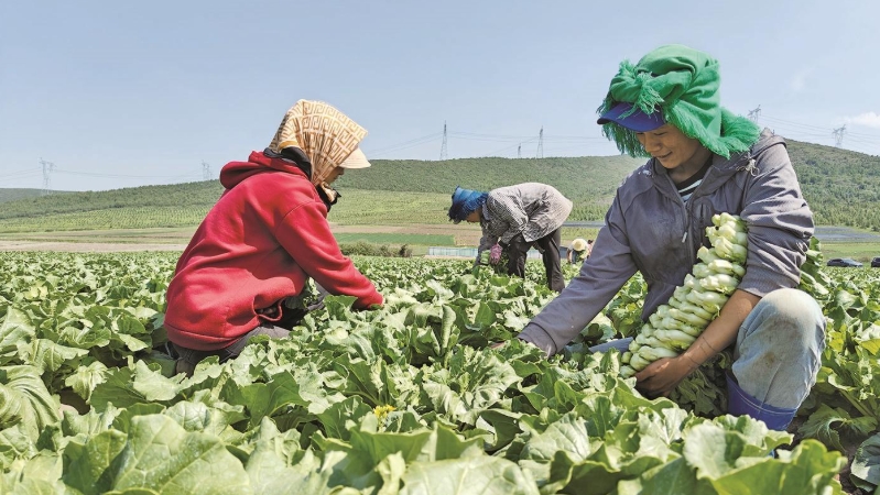 微信截圖_20250623072023