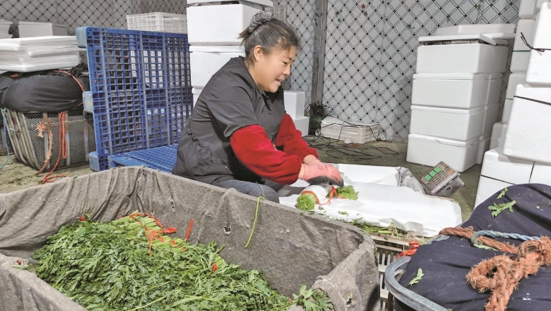 微信截圖_20250623072038