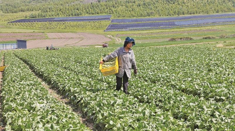 微信截圖_20250623072055