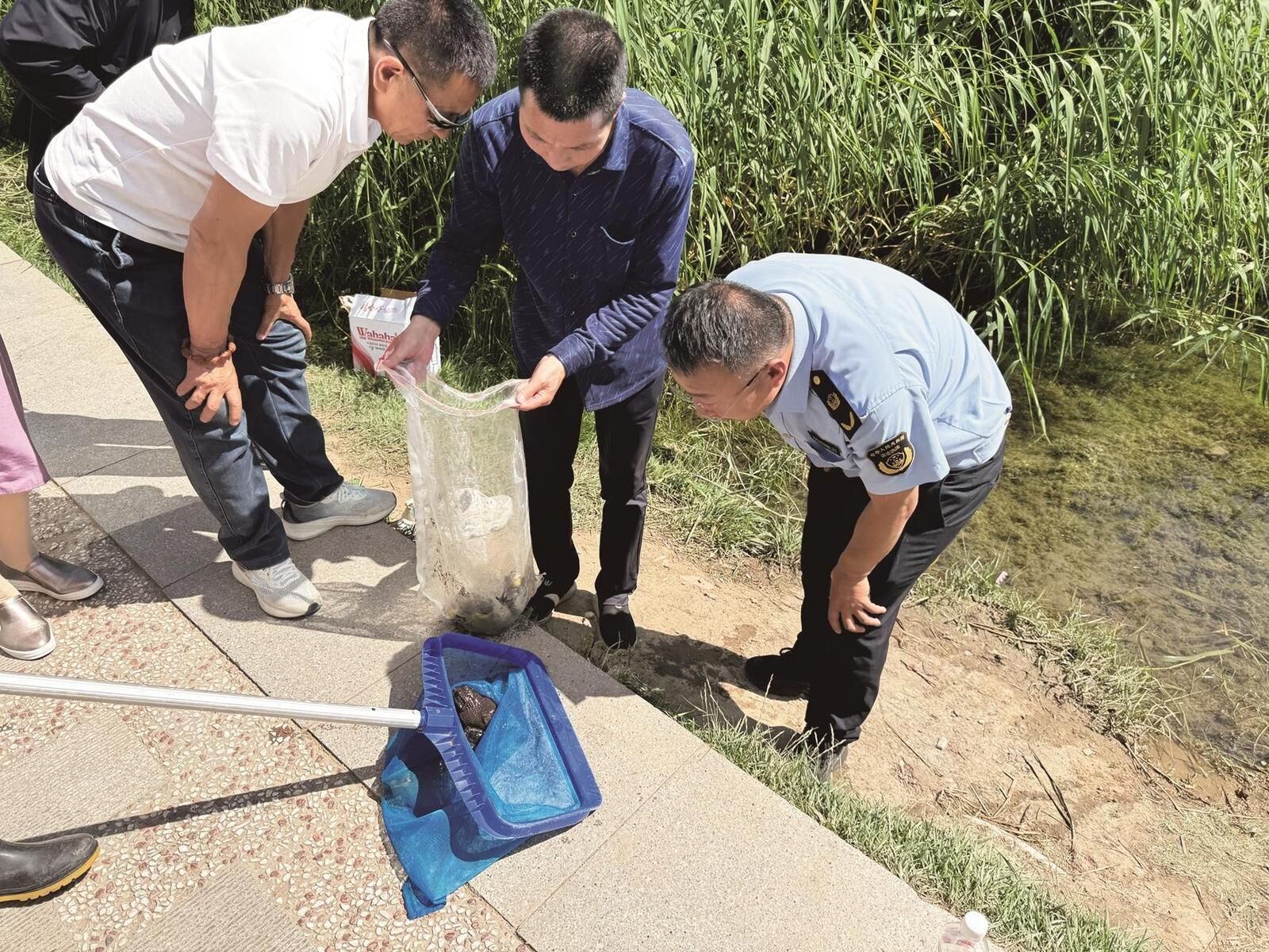 QQ�DƬ20250701062016