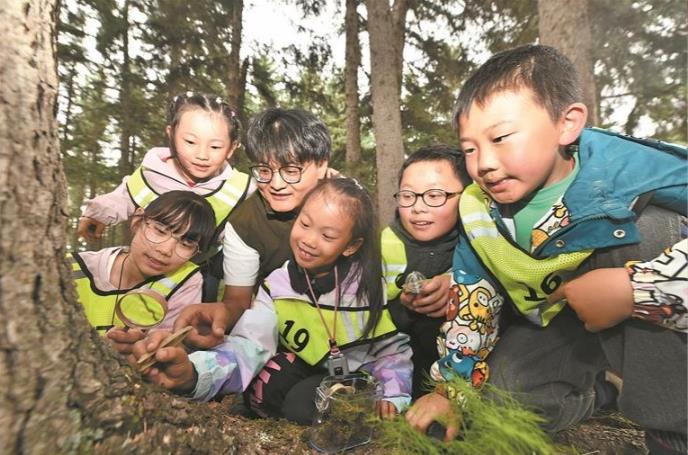 【青春無畏 創業有路】露營基地逐夢人