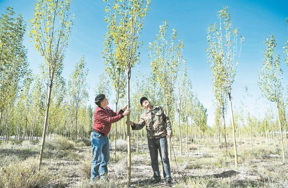 【新時代 新征程 新偉業 高質量發展調研行】青海德令哈:“十四五”奮進下的全新跨越