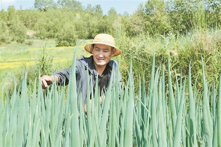 ΢ňDƬ_20250713063702