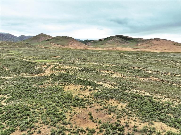 微信圖片_20250713071200