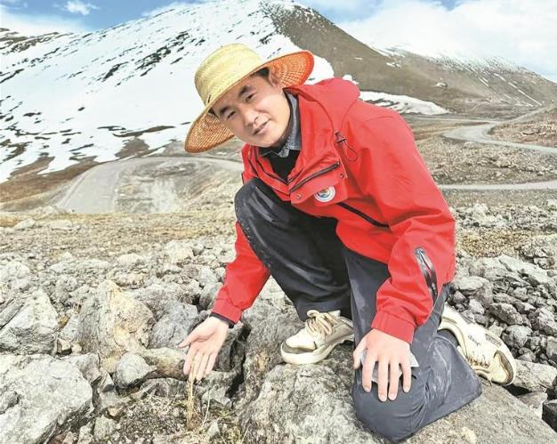 【生態(tài)深一度】連線“青海本草” 傾聽植物故事